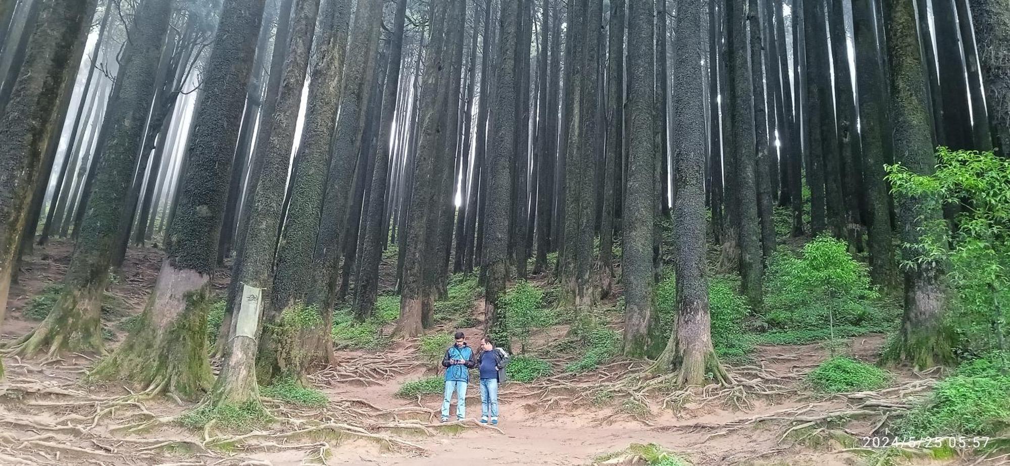 Lama Homestay Darjeeling  Exterior foto